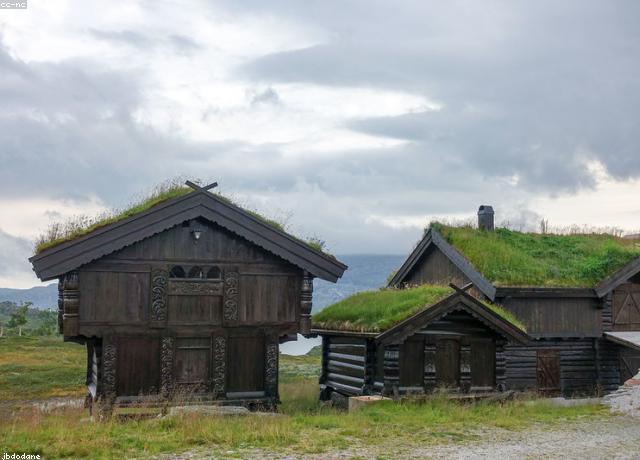 度假村景观木屋群工程实景